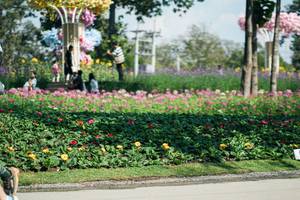 BIB: 
                            <button type="button" onclick="openModal(27609000)" class="btn btn-primary btn-sm float-right btn-popup" data-toggle="modal" data-target=".modal-high-quality">
                        <i class="fas fa-shopping-cart"></i> Add to Cart
                    </button>
                                            <button type="button" onclick="isThisMe(27609000, true)" class="btn btn-success btn-sm float-right btn-popup btn-isme hidden" data-toggle="tooltip" data-placement="bottom" title="นี่คือรูปของคุณใช่ไหม คลิกที่นี่เพื่อเอาเข้าอัลบั้ม">
                        <i class="fas fa-plus"></i> Add to album
                    </button>
                    <button type="button" onclick="isThisMe(27609000, false)" class="btn btn-warning btn-sm float-right btn-popup btn-isnotme hidden">
                        <i class="fas fa-ban"></i> Remove from album
                    </button>